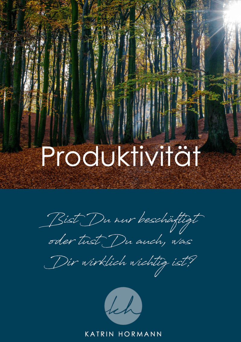 Produktivitaets-Matrix
